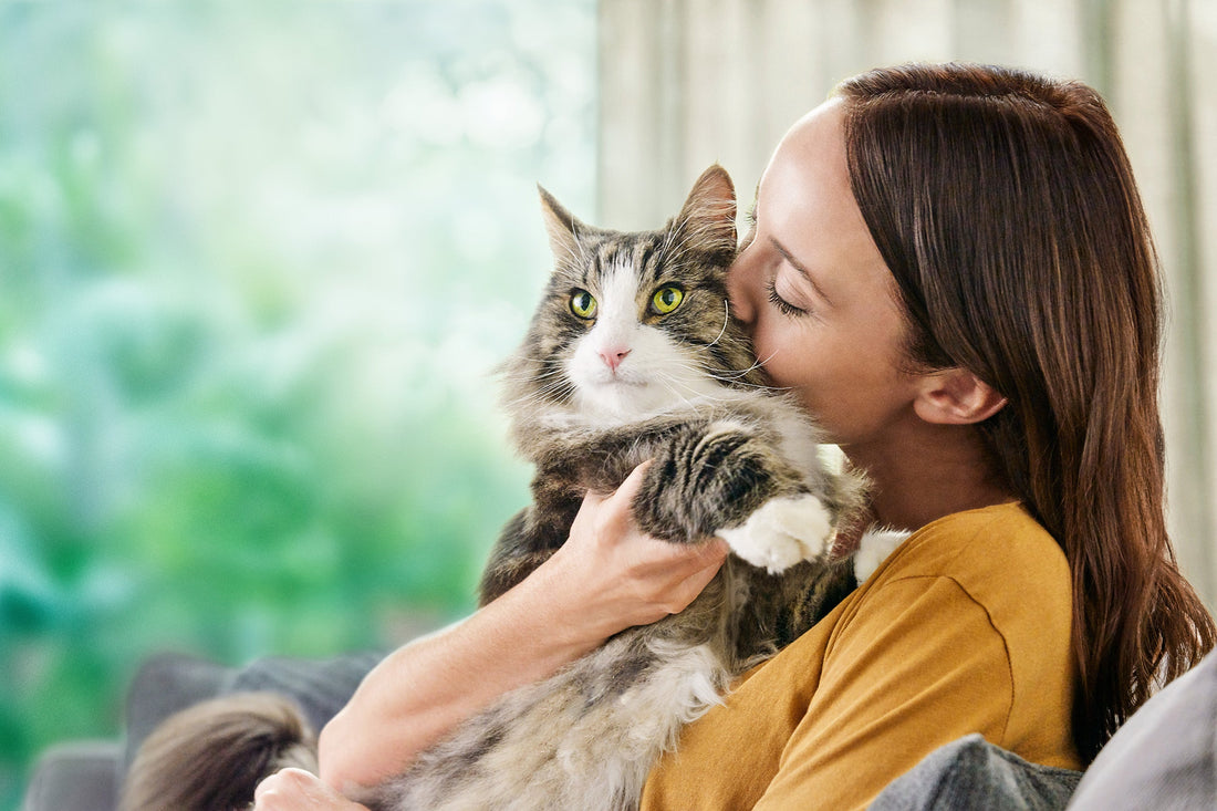 15 Things Every Cat Owner Understands
