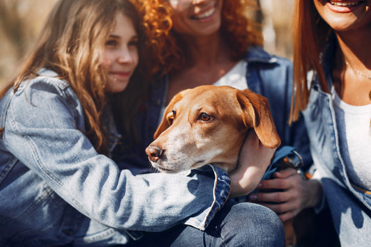 Things My Dog Judges Me For (Daily)