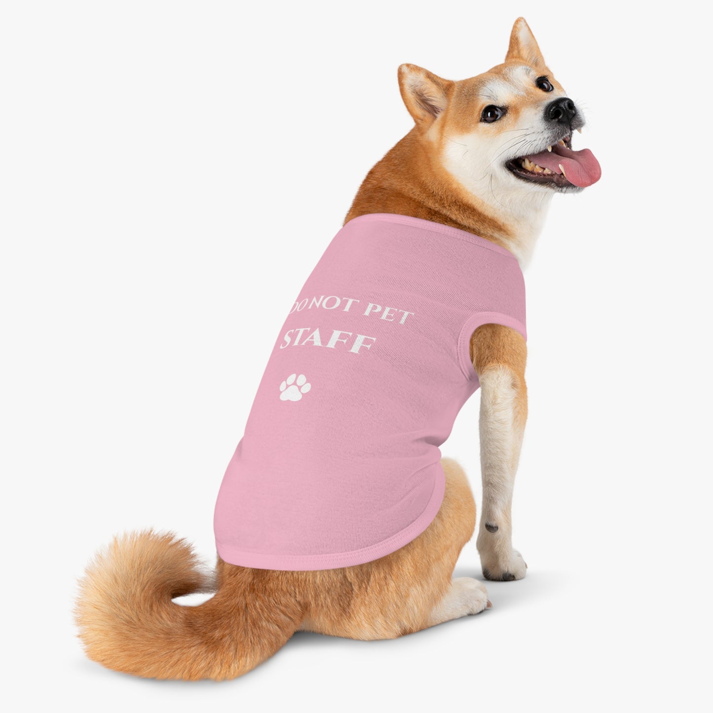 Do Not Pet Staff Dog Shirt | Funny Dog Clothes