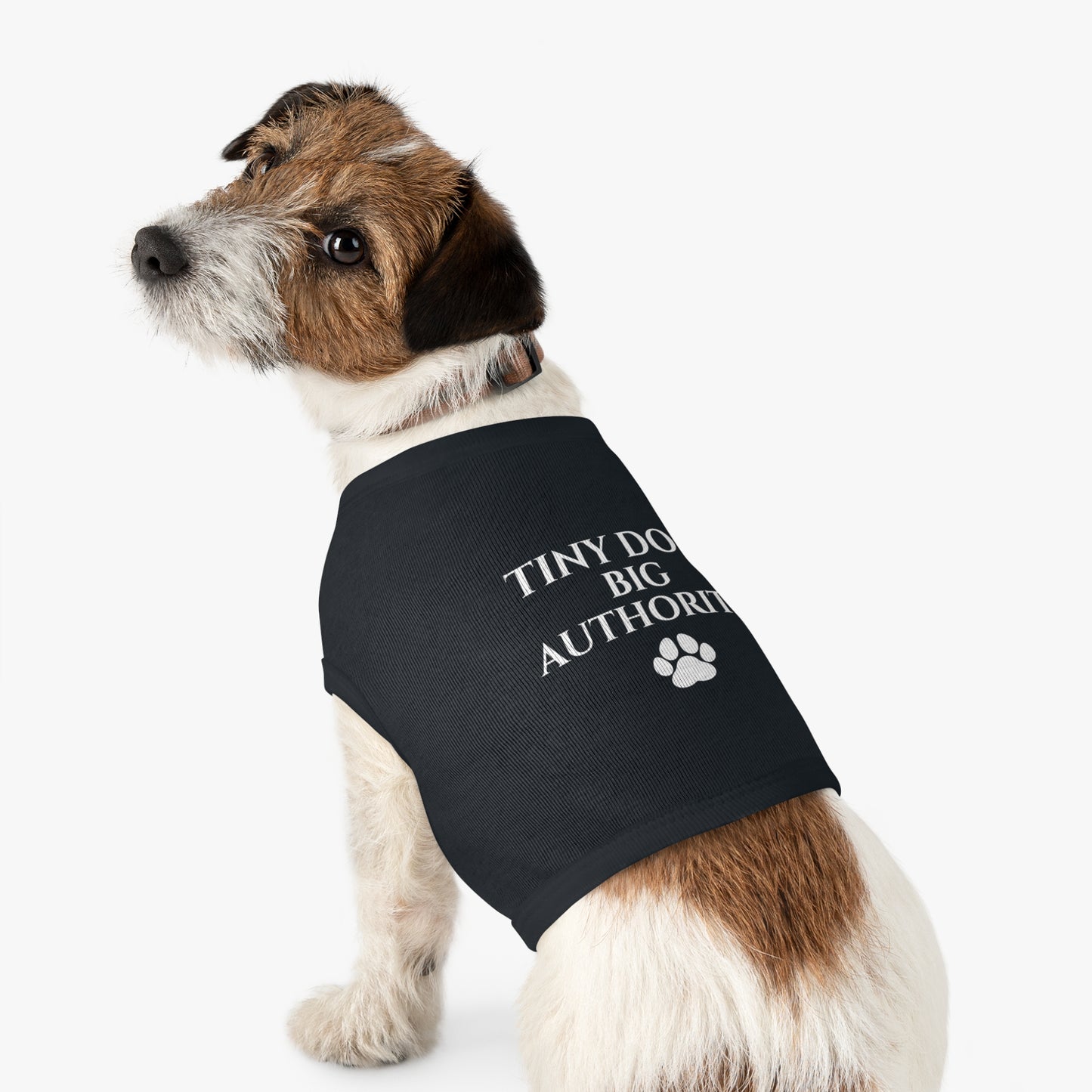 Tiny Dog Big Authority Dog Shirt | Funny Small Dog Shirt