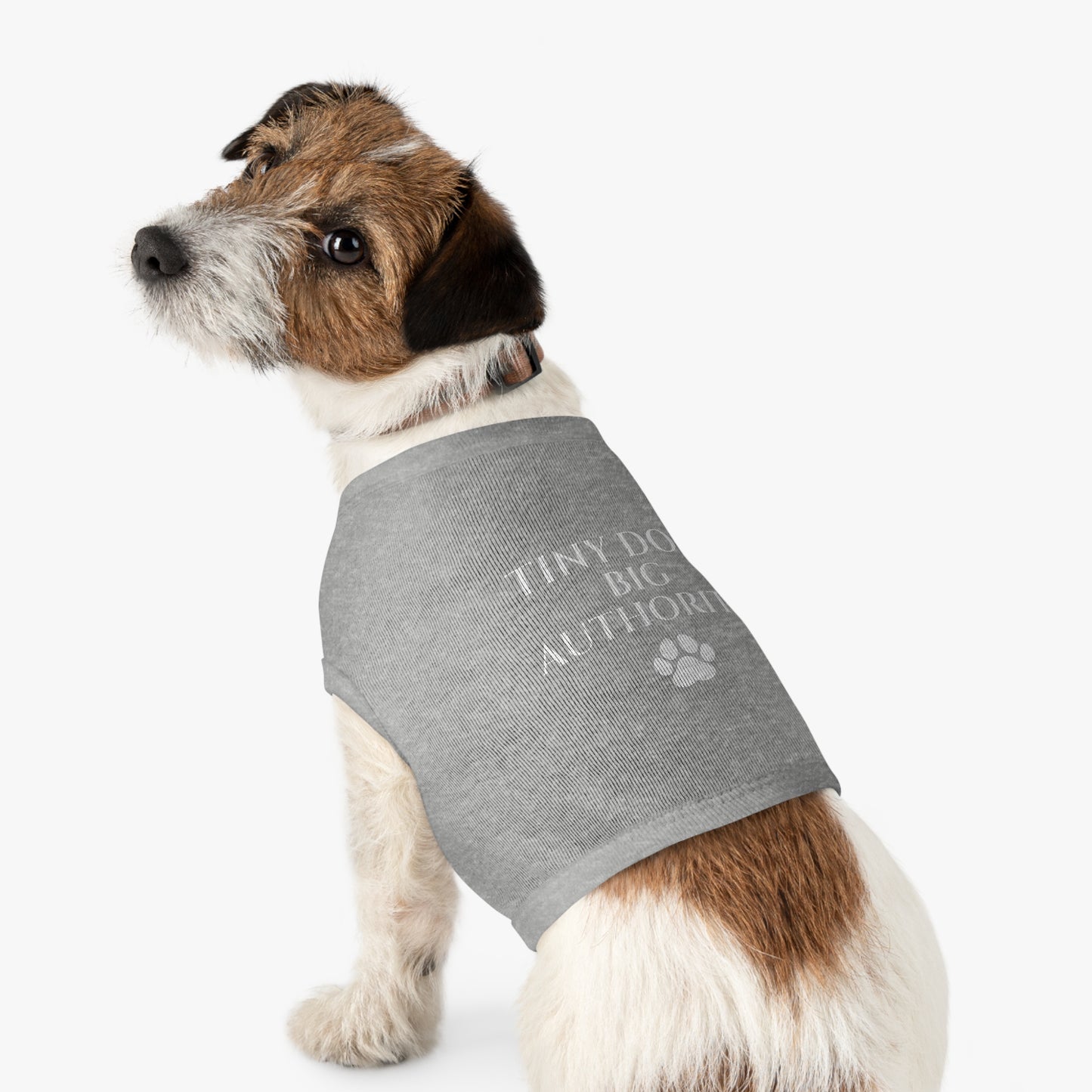 Tiny Dog Big Authority Dog Shirt | Funny Small Dog Shirt